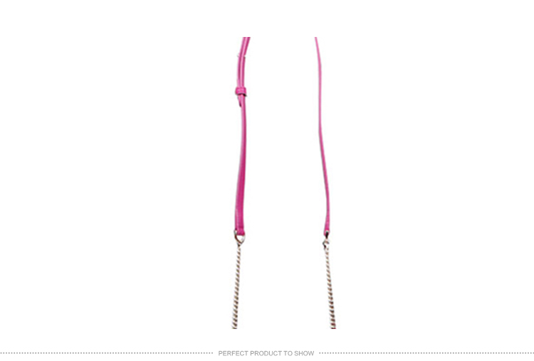 【包邮包税】BVLGARI/宝格丽 女士牛皮紫红色小号单肩包 280441 calf leather berry-036 20161121