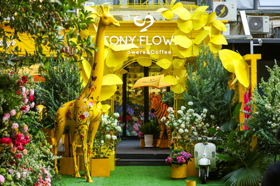 世纪樱花21周年盛典深圳启幕,TVB首位连庄视后邓萃雯助阵戏弄&TONY FLOWER开业典礼